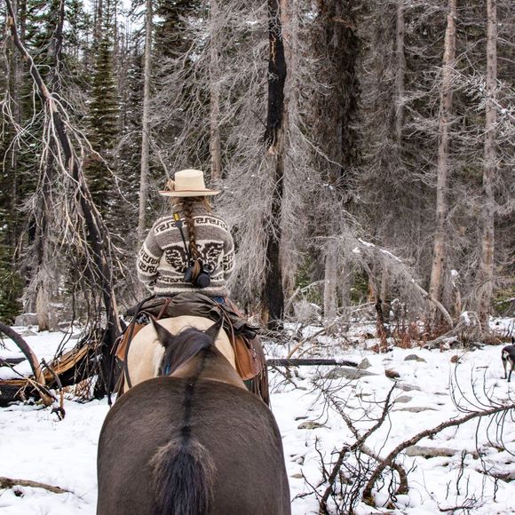 Meet your Posher, Brianna - Picture 1 of 1